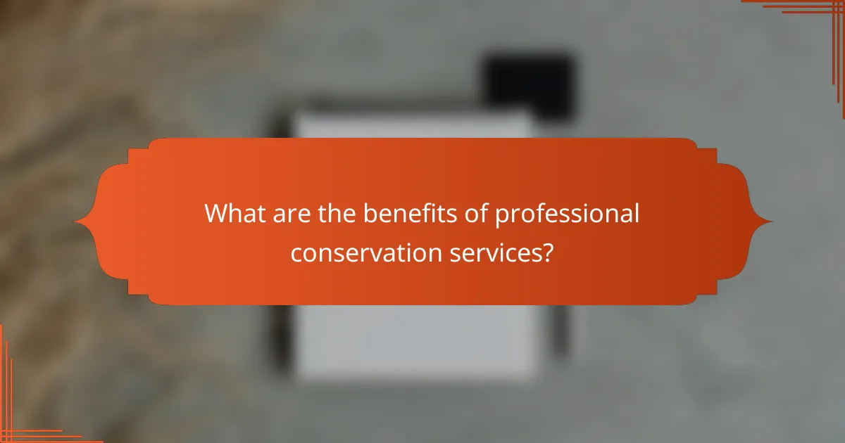 What are the benefits of professional conservation services?